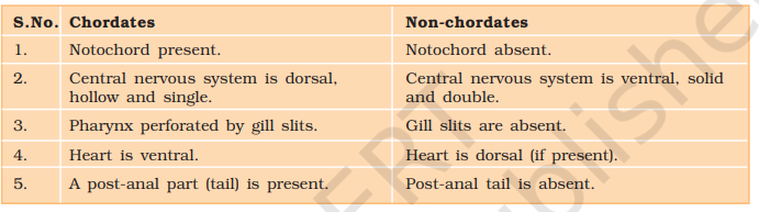 Table 4.1 presents a comparison of salient features of chordates and non-chordates. 