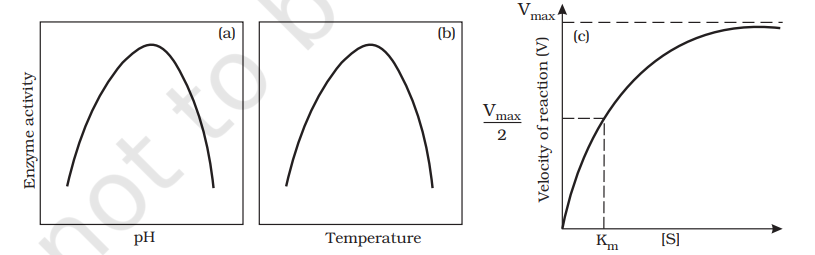 Effect of change in : (a) pH (b) Temperature and (c) Concentration of substrate on enzyme activity