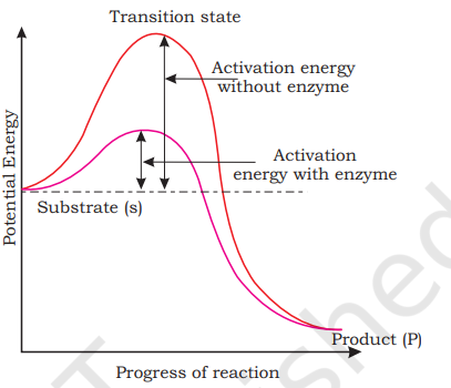 Concept of activation energy