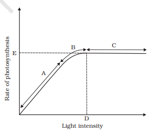 0 Graph of light intensity on the rate of photosynthesis