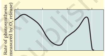 Graph showing action spectrum of photosynthesis